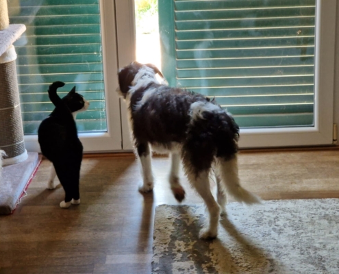 IMG-20260620-WA0006
