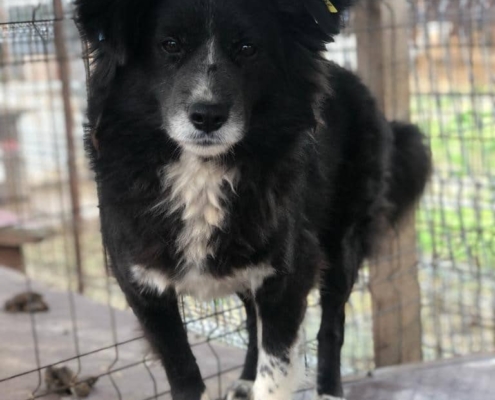 WhatsApp-Image-2023-04-20-at-10.55.29-5